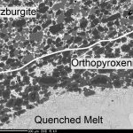 Backscatter image showing an orthopyroxenite layer in a hydrous melt-rock reaction experiment